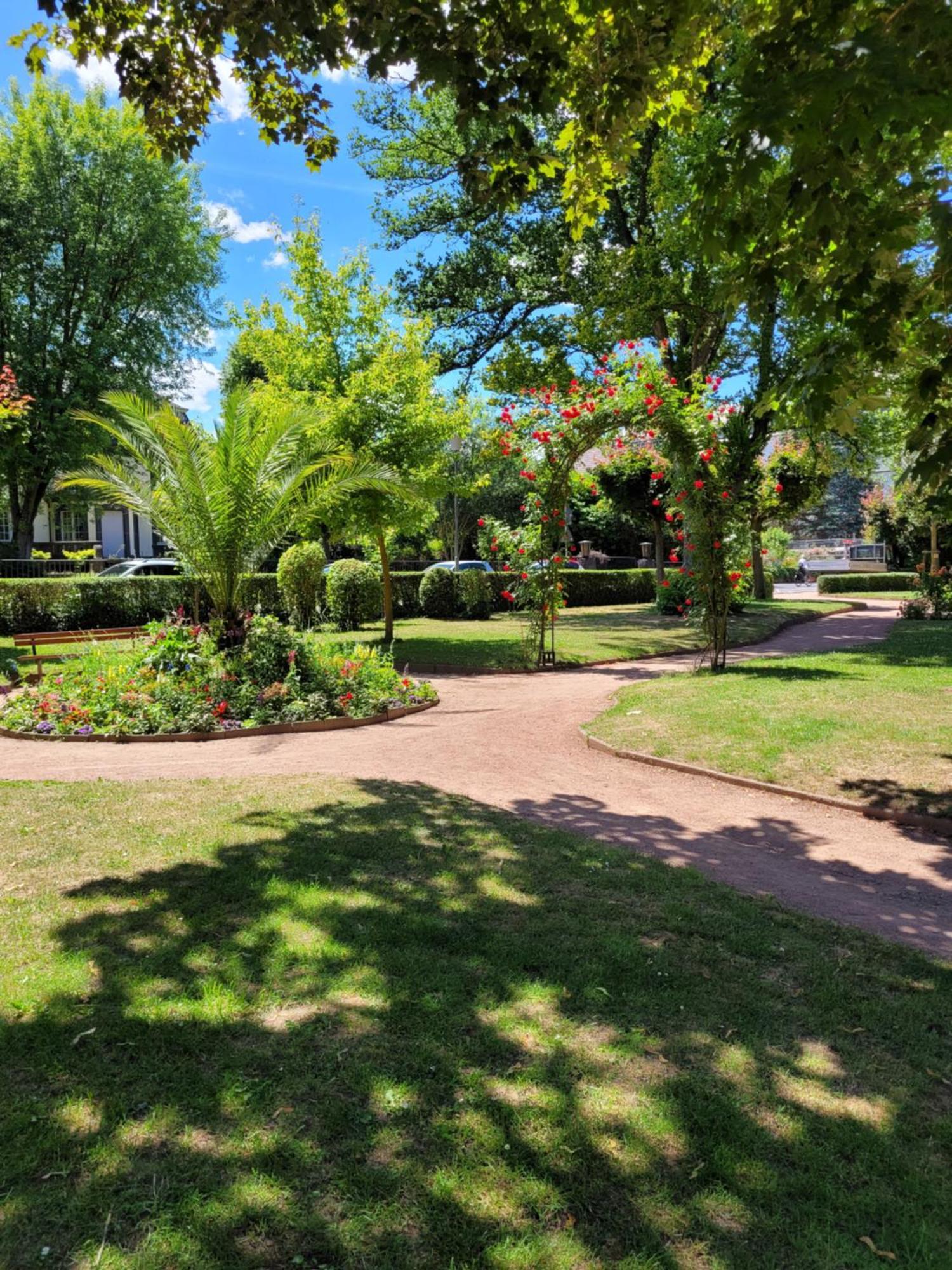 Urlaub Am Rhein, Ferienwohnung Mit Garten บอพพาร์ด ภายนอก รูปภาพ