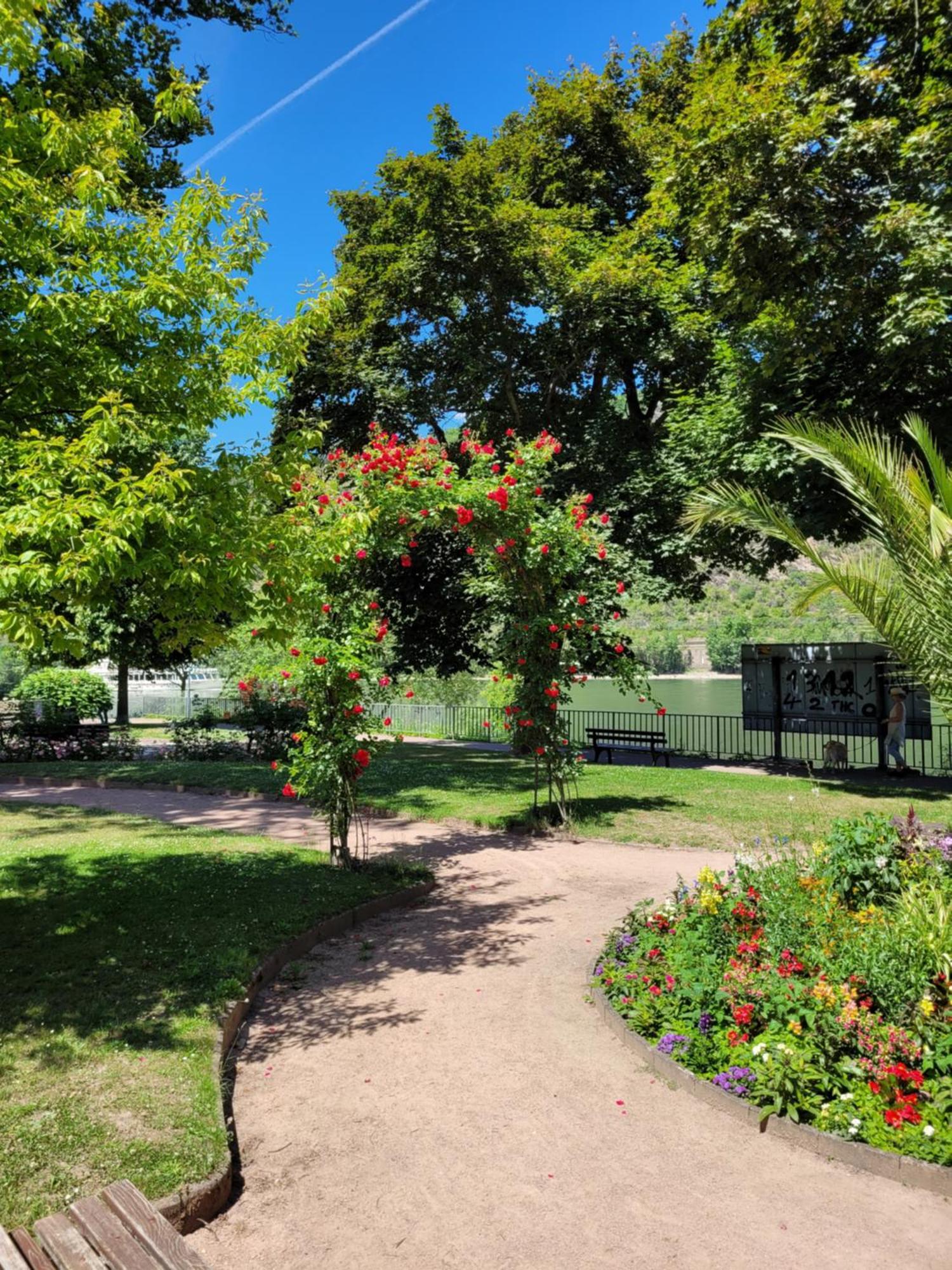Urlaub Am Rhein, Ferienwohnung Mit Garten บอพพาร์ด ภายนอก รูปภาพ